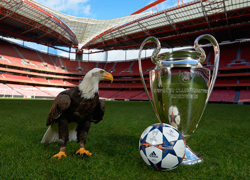 北京首钢强势回暖（北京首钢强势反弹）